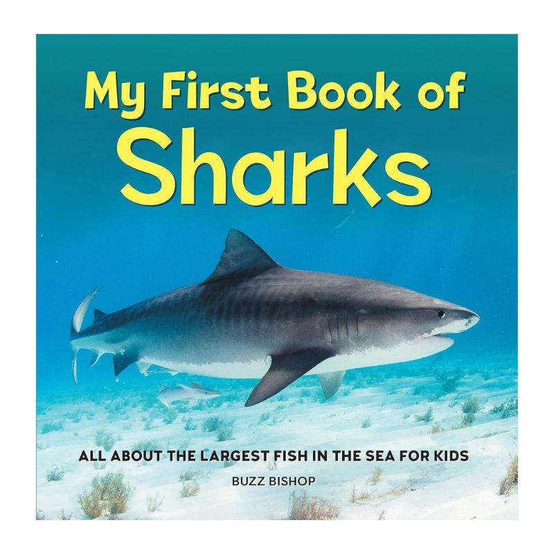 My First Book Of Sharks.jpg